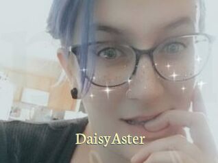 DaisyAster