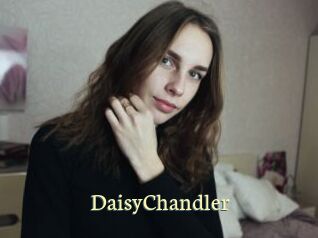 Daisy_Chandler