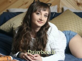 Daisybeech