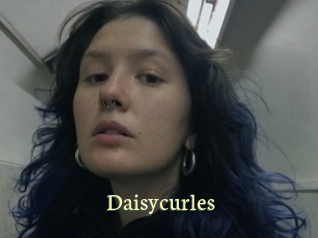 Daisycurles