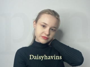 Daisyhavins