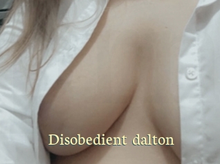 Disobedient_dalton