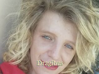 Dragibus