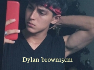 Dylan_brown15cm