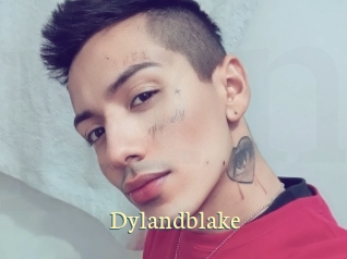 Dylandblake