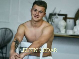 ELFIN_CEDAR