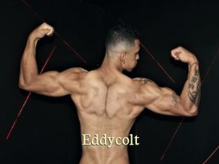 Eddycolt