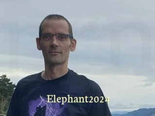 Elephant2024