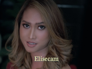 Elisecam