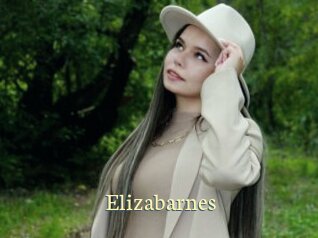 Elizabarnes