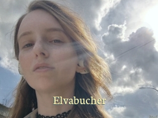 Elvabucher