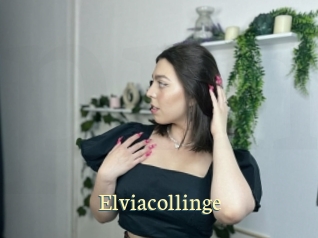 Elviacollinge