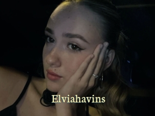 Elviahavins