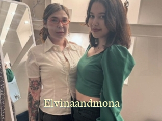 Elvinaandmona