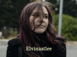 Elvinaatlee