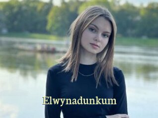 Elwynadunkum