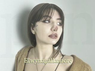 Elwynagallamore