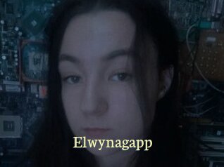 Elwynagapp