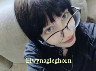 Elwynagleghorn