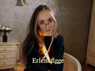 Erlenefigge