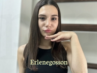 Erlenegosson