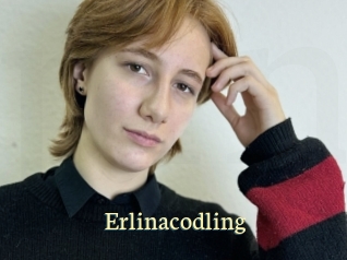 Erlinacodling