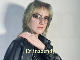 Erlinadendy