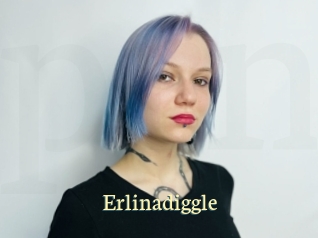 Erlinadiggle