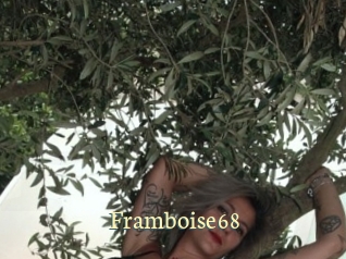 Framboise68