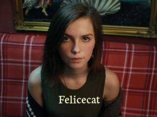 Felicecat