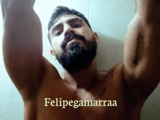 Felipegamarraa