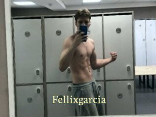 Fellixgarcia