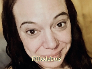 Filledebois