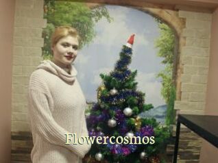 Flowercosmos