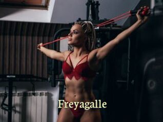 Freyagalle