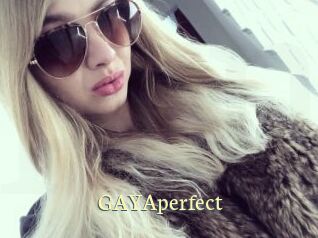 GAYAperfect