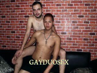 GAY_DUO_SEX