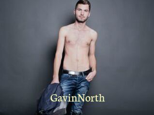 GavinNorth