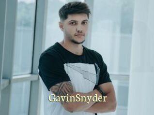 GavinSnyder