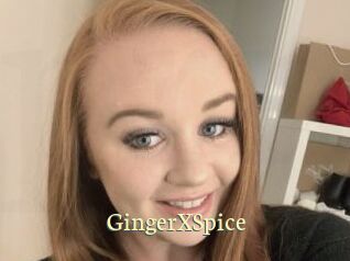 GingerXSpice