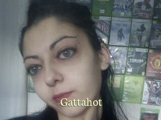 Gattahot