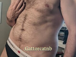 Gattorcatnb