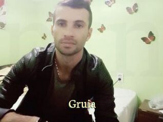 Gruia