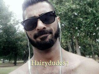 Hairydude87