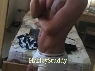 HarleyStuddy