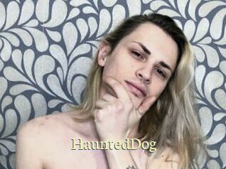 HauntedDog