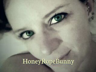 HoneyRopeBunny