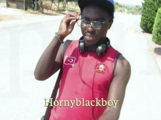 Hornyblackboy