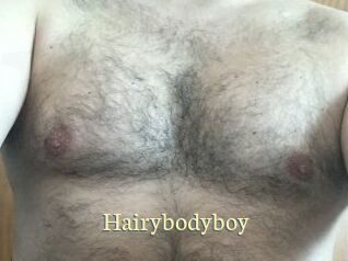 Hairybodyboy