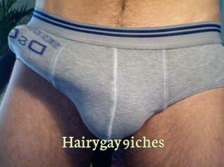 Hairygay9iches